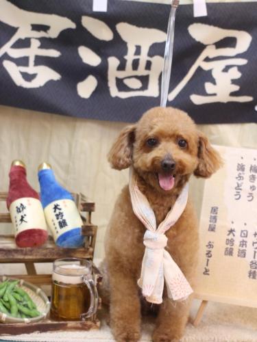 20240628チョコちゃん